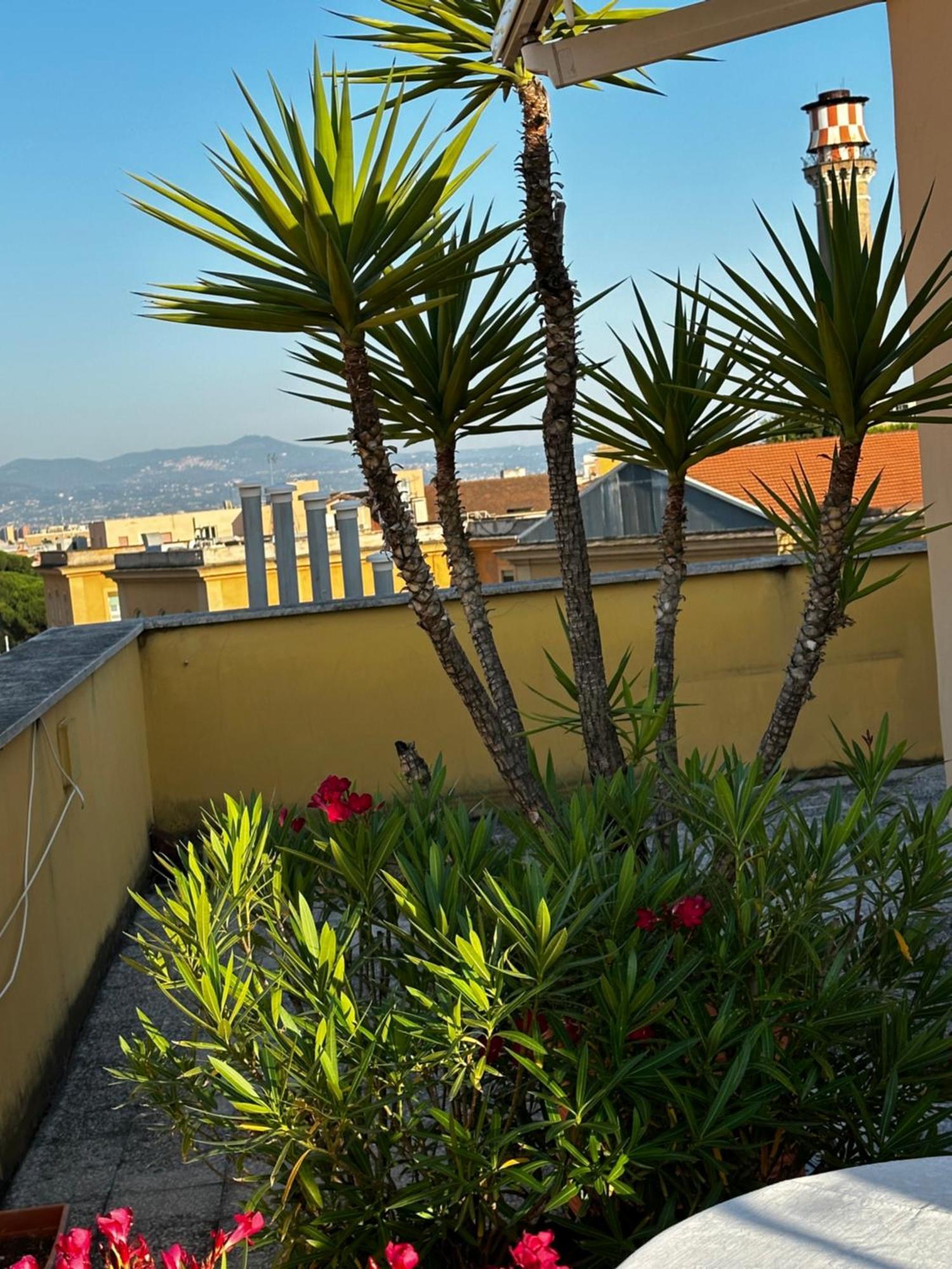 All Comfort Astoria Palace Rome Exterior photo